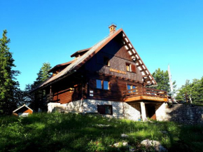 Chalet Zala at Vogel mountain - hiking or cable car access - not reachable with car